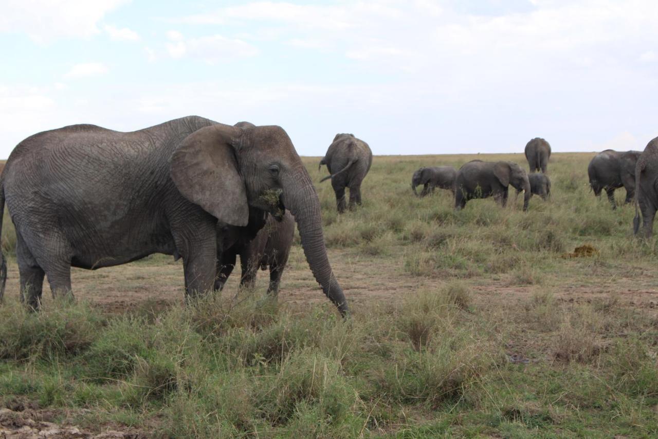 Mapito Tented Camp Serengeti Esterno foto